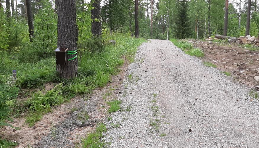 Kuntorastivihko laatikko