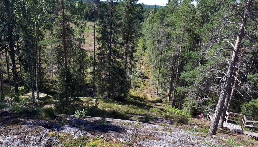 Näkymä alas kalliolta