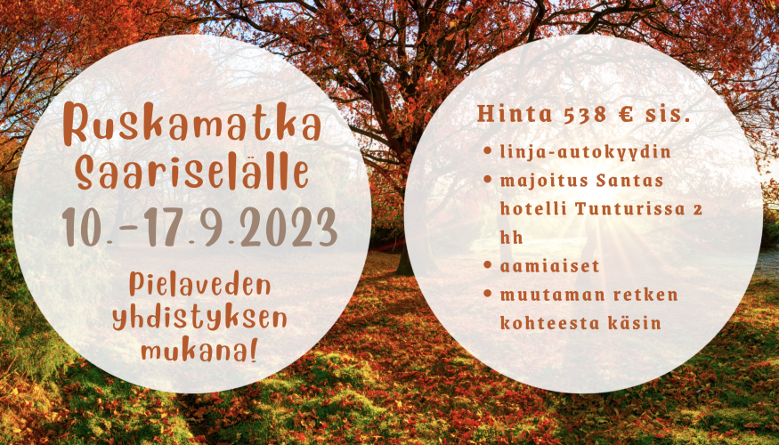 Ruskamatka Saariselälle syksyllä 2023