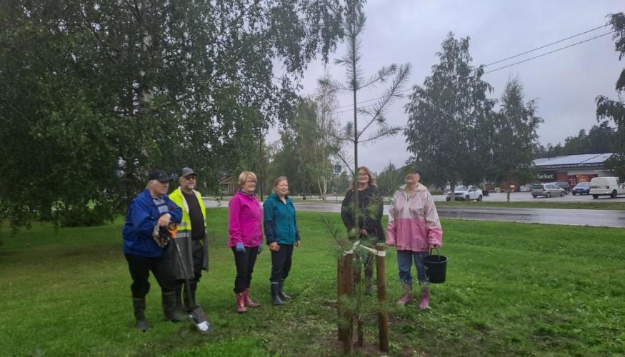 juhlapuu