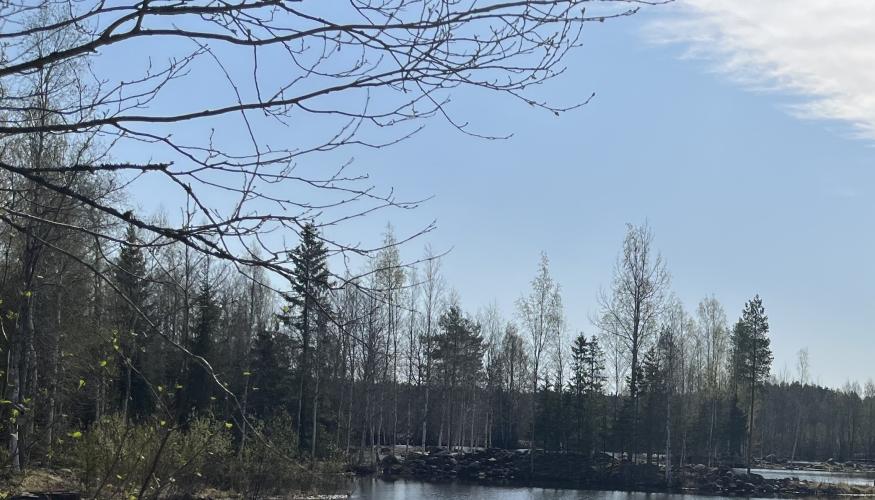 vesistö